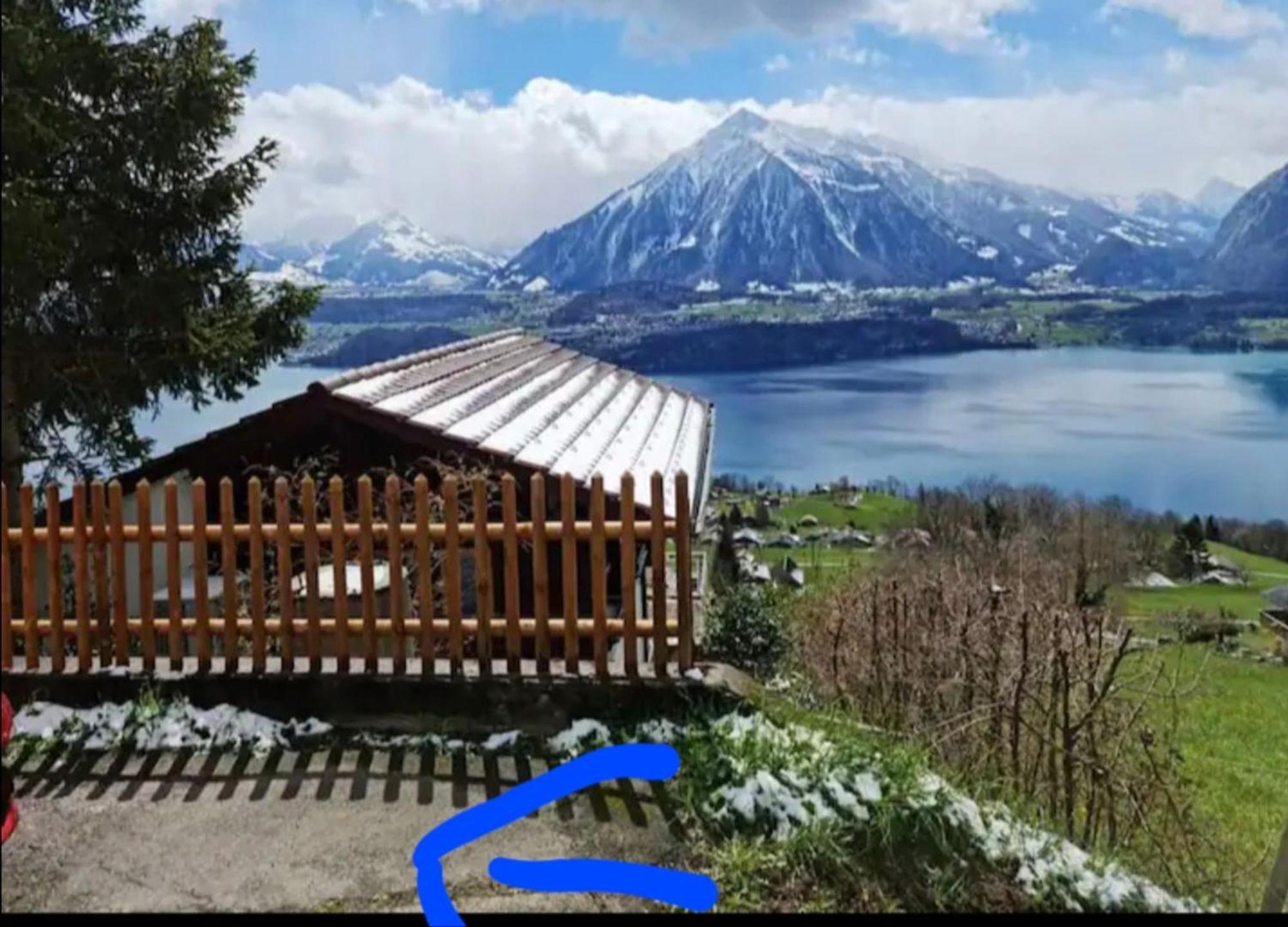 Chalet With View Of The Mountains And The Thun Lake Зигрисвил Екстериор снимка