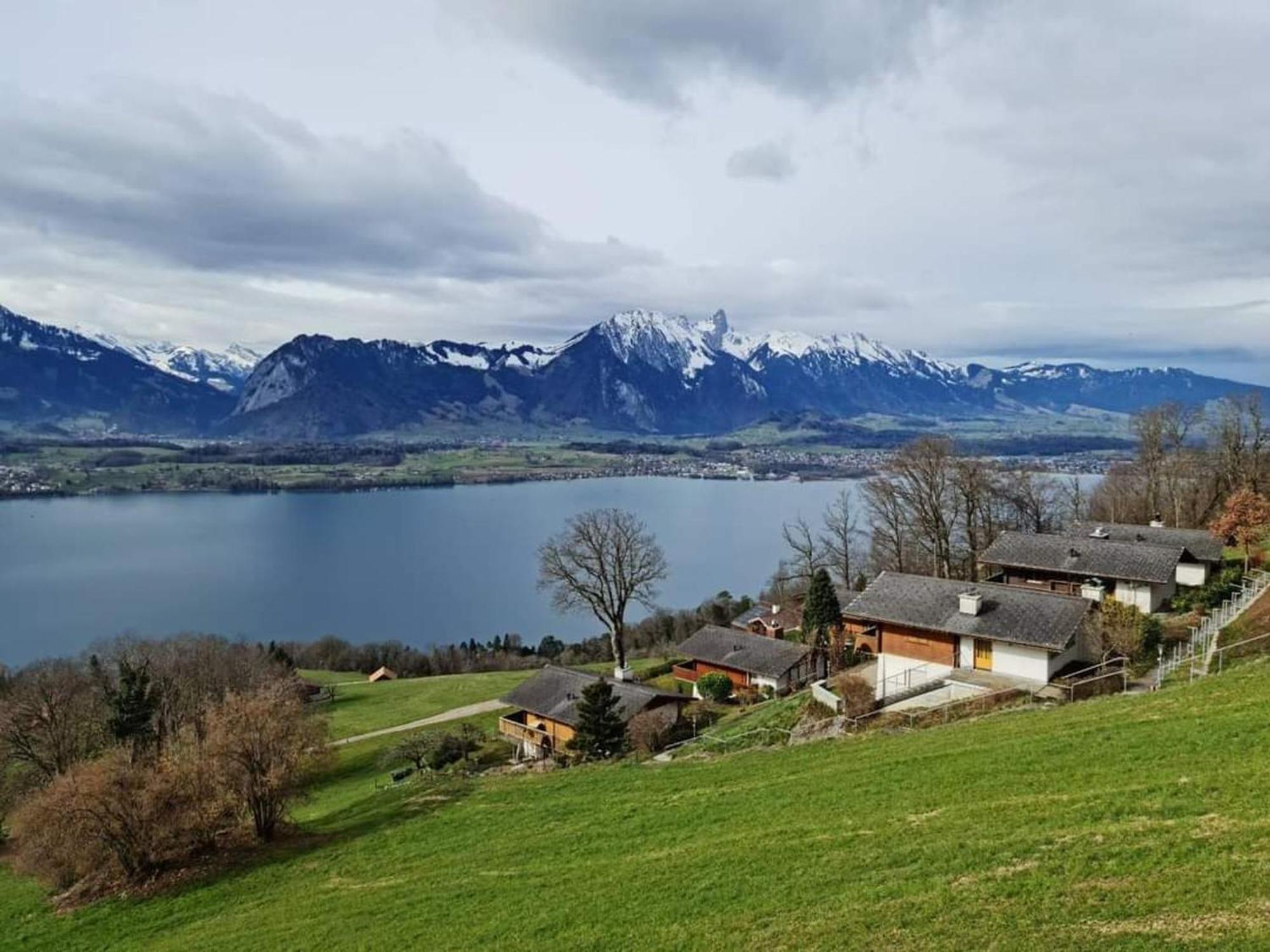 Chalet With View Of The Mountains And The Thun Lake Зигрисвил Екстериор снимка